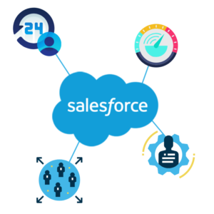 Salesforce Capacity Planning and Utilization