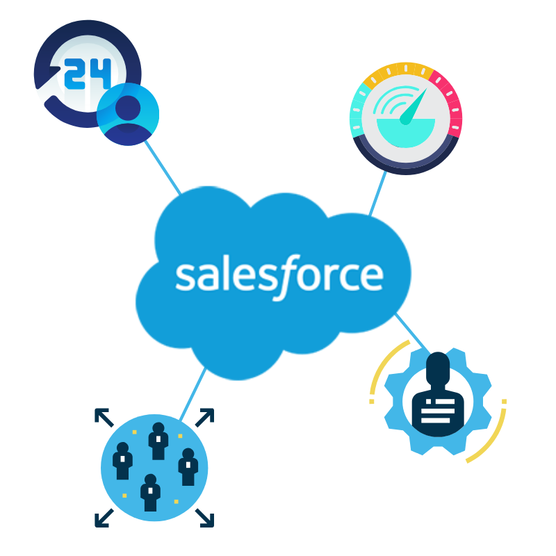 Salesforce Capacity Planning and Utilization