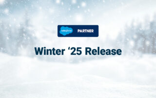 Salesforce Winter '25 Release