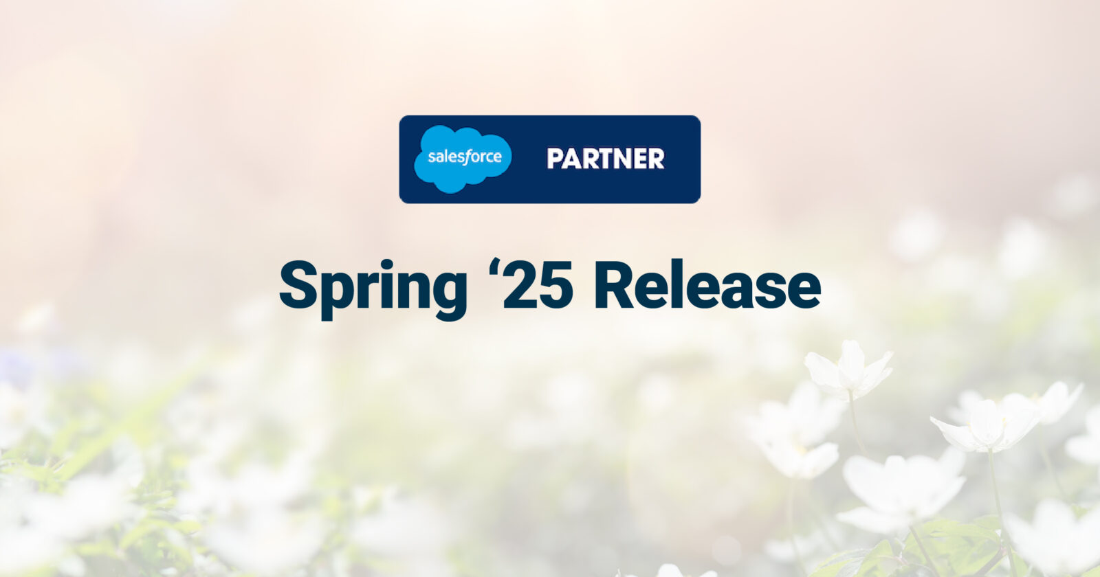 Salesforce Spring '25 Release